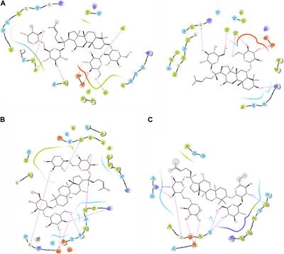 Using CADD tools to inhibit the overexpressed genes FAP, FN1, and MMP1 by repurposing ginsenoside C and Rg1 as a treatment for oral cancer